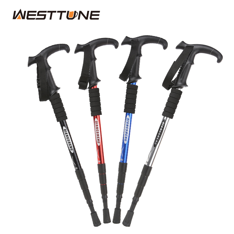 Trekking Pole Carbon - Outdoor Opvouwbare Trekkings Pole 4-delige Draagbare